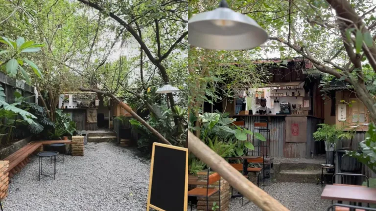 Cafe Vibes Ghibli Jakarta - Enam Derajat Kopi