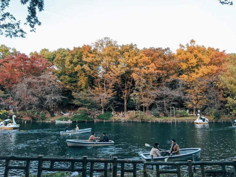 Wisata Musim Gugur Tokyo, Jepang - Inokashira Park
