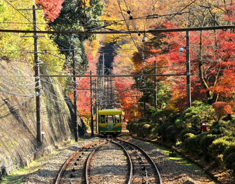 Wisata Musim Gugur Tokyo, Jepang - Mount Takao