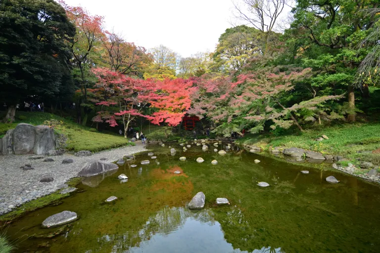 Wisata Musim Gugur Tokyo, Jepang - Koishikawa Korakuen Garden