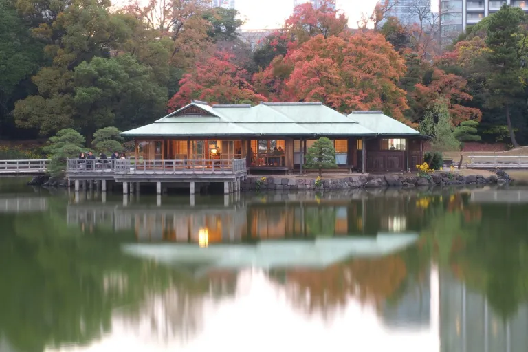 Wisata Musim Gugur Tokyo, Jepang - Hamarikyu Park