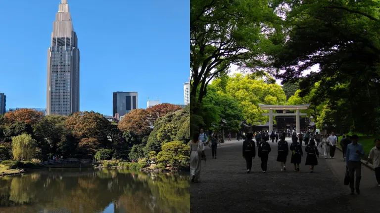 Wisata Musim Gugur Tokyo, Jepang - Yoyogi Park