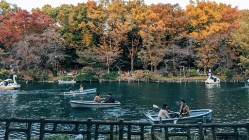 image for article 11 Wisata Musim Gugur Terindah di Tokyo, Jepang Yang Bikin Liburanmu Tak Terlupakan