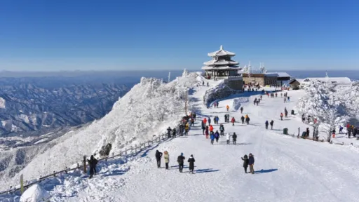 Korea Selatan Sambut Salju Perdana di 2025, Tips Liburan Musim Dingin Untuk First Timer image for article Korea Selatan Sambut Salju Perdana di 2025, Tips Liburan Musim Dingin Untuk First Timer