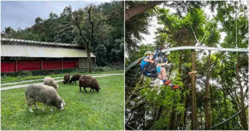 image for article 7 Tempat Wisata Kopeng Yang Berlimpah Udara Sejuk