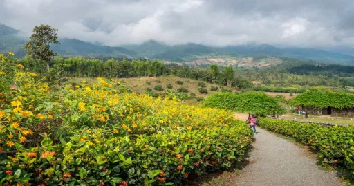 image for article 10 Aktivitas Wisata Di Pai, Thailand Untuk Pencari Ketenangan