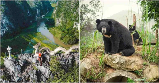 image for article 12 Tempat Wisata Ninh Binh, Surga Tropis Di Vietnam