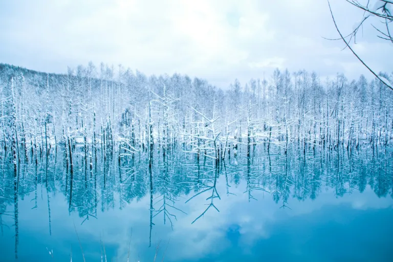 Wisata Musim Dingin Hokkaido, Jepang - Shirogane Blue Pond