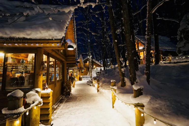 Wisata Musim Dingin Hokkaido, Jepang - Ningle Terrace