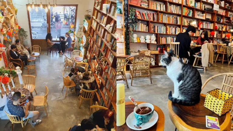 Book Cafe Hanoi, Vietnam - Oleoleo Coffee Books &amp; Cats
