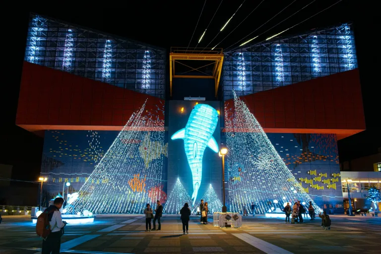 Wisata Musim Dingin Osaka, Jepang - Kaiyukan Aquarium