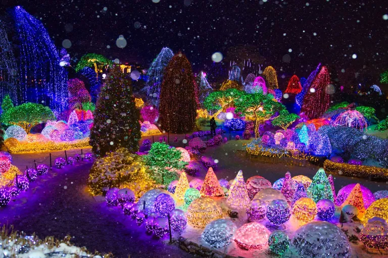 Wisata Musim Dingin Korea Selatan - Garden of Morning Calm