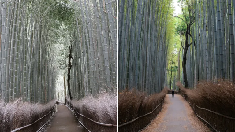 Wisata Musim Dingin Kyoto, Jepang - Arashiyama