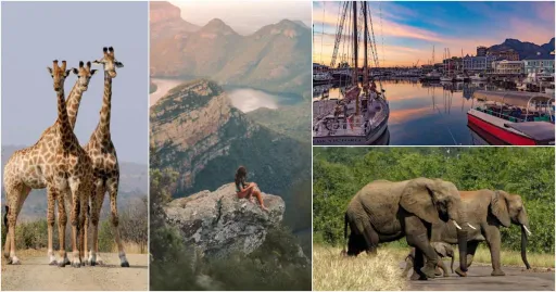 image for article Tempat Wisata Terbaik Di Afrika Selatan Untuk Dikunjungi