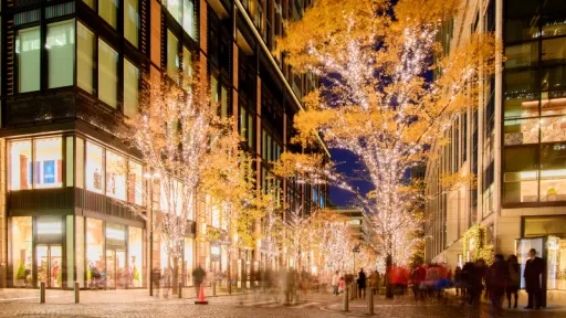 image for article Panduan dan Tips Liburan Tahun Baru di Tokyo, Jepang