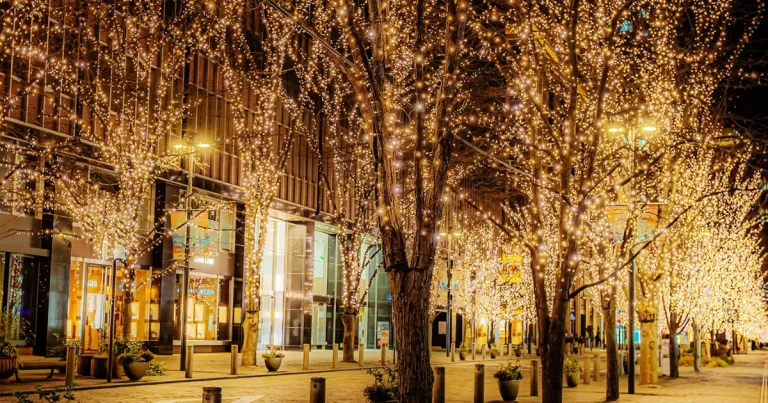 Wisata Musim Dingin Tokyo, Jepang - Marunouchi Illumination