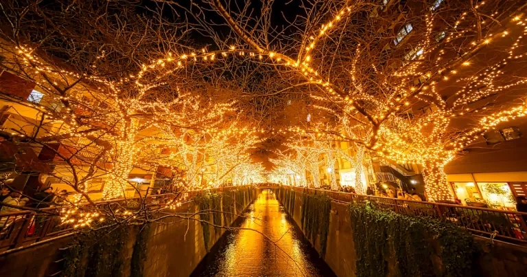 Wisata Musim Dingin Tokyo, Jepang - Meguro River Illumination
