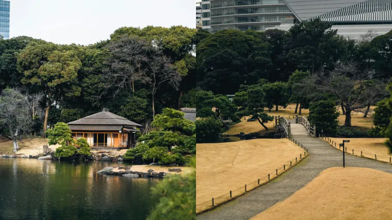 Wisata Musim Dingin Tokyo, Jepang - Hamarikyu Garden