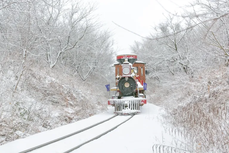 Wisata Musim Dingin Jeju, Korea Selatan - Eco Land Theme Park