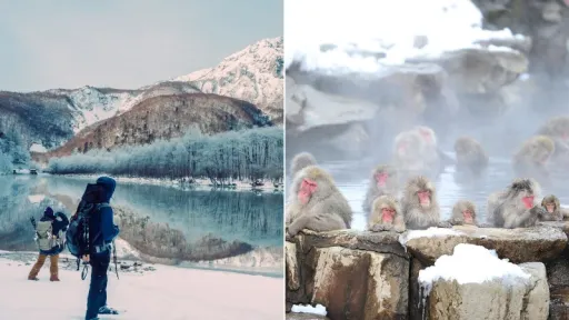 Monyet Salju Hingga Resor Ski: 10 Wisata Musim Dingin Terbaik di Nagano, Jepang image for article Monyet Salju Hingga Resor Ski: 10 Wisata Musim Dingin Terbaik di Nagano, Jepang