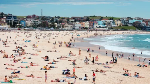 Tragedi Teror di Pantai Bondi, Australia: Kronologi, Korban, dan Aksi Heroik image for article Tragedi Teror di Pantai Bondi, Australia: Kronologi, Korban, dan Aksi Heroik