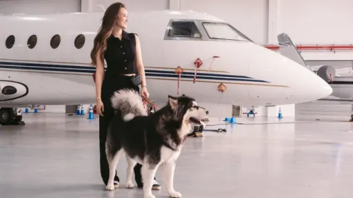 SingaPaw Air, Maskapai Pet-Friendly Pertama di Asia, Bisa Bawa Hewan Peliharaan Terbang Mewah! image for article SingaPaw Air, Maskapai Pet-Friendly Pertama di Asia, Bisa Bawa Hewan Peliharaan Terbang Mewah!