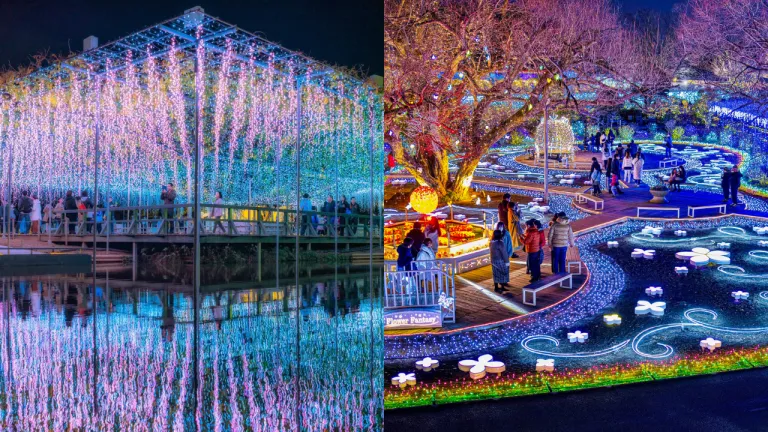 Festival Iluminasi Jepang - Ashikaga Flower Park Illuminations 