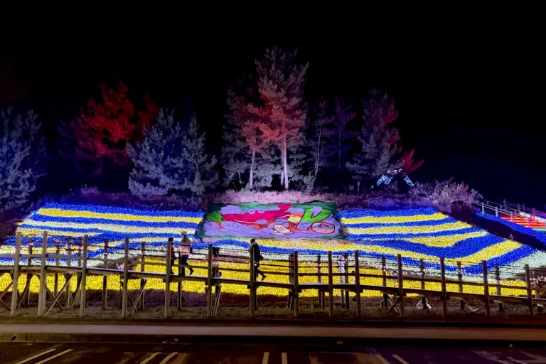 Festival Iluminasi Jepang - Tottori Sakyu Illusion