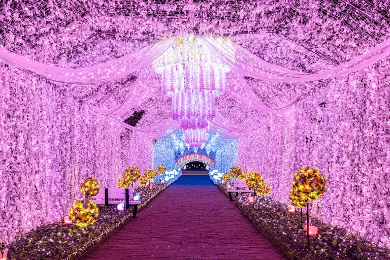 Festival Iluminasi Jepang - Toki no Sumika Illumination