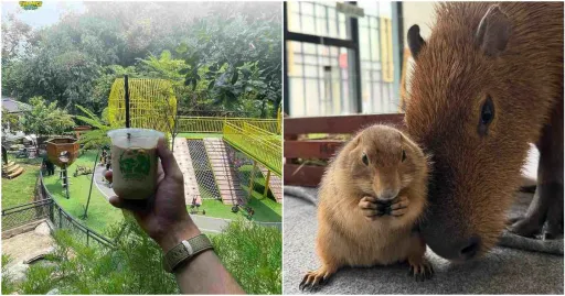 image for article 9 Pet Cafe Dan Taman Di Tangerang Untuk Healing Singkatmu