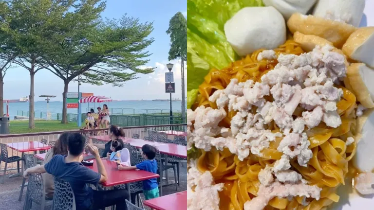 Fishball Noodle Halal Singapura - Enak Enak HongKong Tea House 