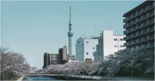 image for article 24 Jam Di Tokyo Ngapain Aja? Ini Itinerary Buat Kamu