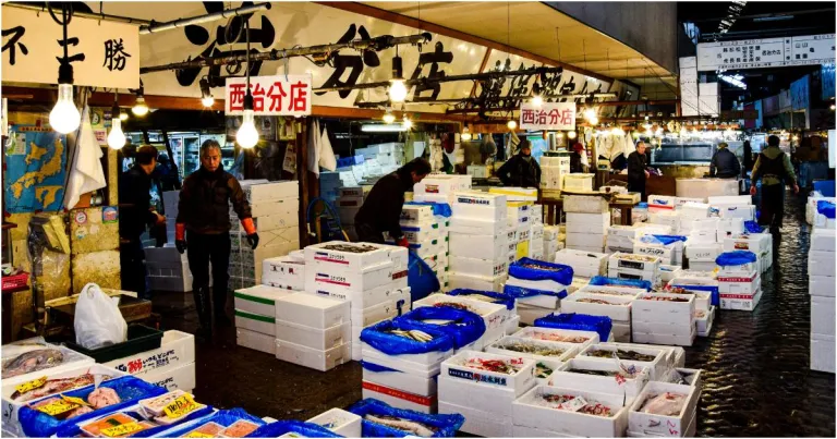 Itinerary 24 jam Di Tokyo