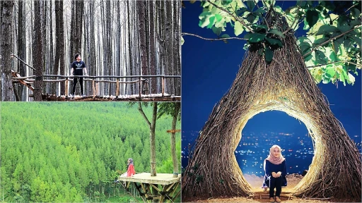 image for article 23 Destinasi Wisata Hutan Pinus Untuk Liburan Anti-Mainstream Dan Instagrammable