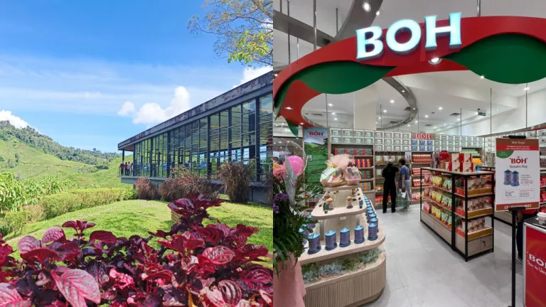 Wisata Cameron Highlands - BOH Tea Centre