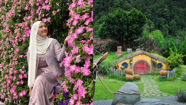 Wisata Cameron Highlands - Lavender Garden