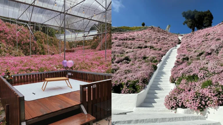 Wisata Cameron Highlands - Cameron Highlands Flora Park