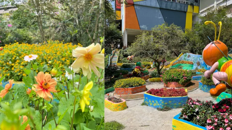 Wisata Cameron Highlands - Ee Feng Gu Bee Farm