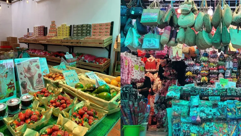 Wisata Cameron Highlands - Kea Farm Market