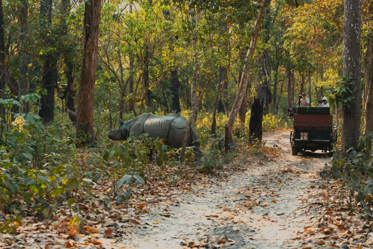 Wisata Nepal - Chitwan National Park