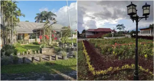 image for article Airbnb Di Tomohon Untuk Healing Penuh Kenangan
