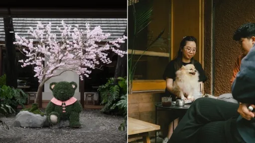 image for article 10 Kafe Pet-Friendly Paling Hits di Jakarta untuk Akhir Pekan Seru