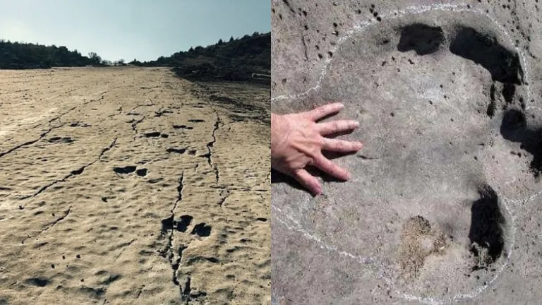 Wisata Turkmenistan - Dinosaur Plateau