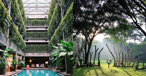 image for article 10 Hotel Ramah Lingkungan Di Indonesia Yang Sejuk Dan Bikin Betah