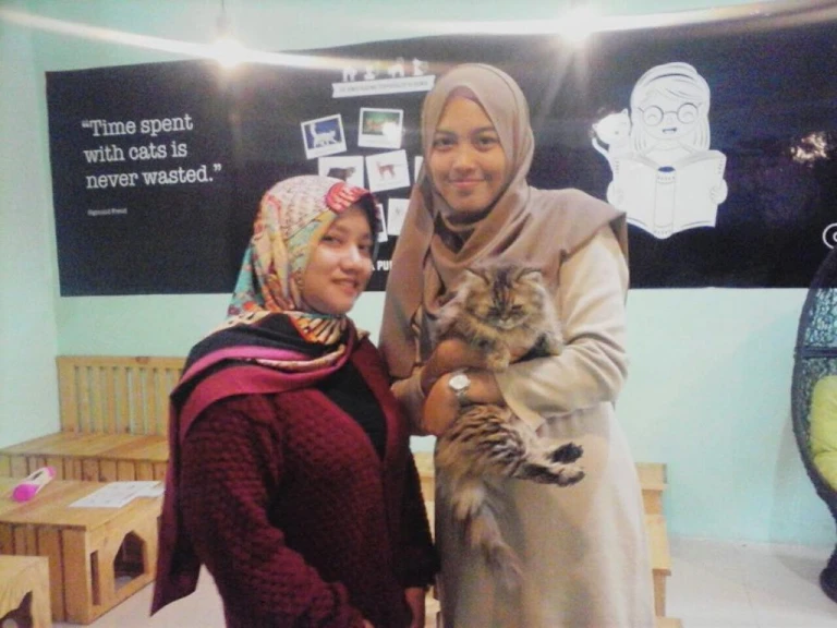 kafe kucing indonesia