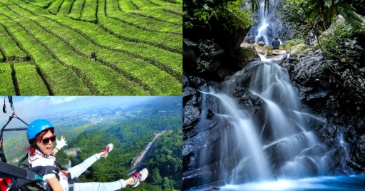 image for article 5 Wisata Puncak Bogor dengan Nuansa Natural yang Amazing!