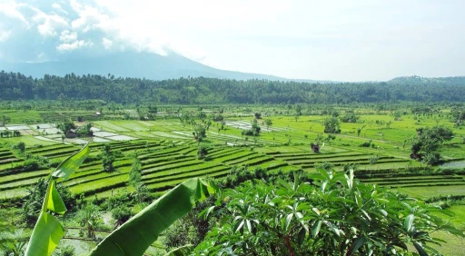 image for article Apakah Bali Aman Untuk Dikunjungi Setelah Erupsi Gunung Agung?