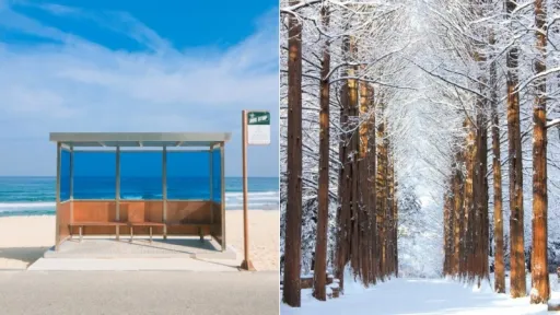 image for article 5 Rekomendasi Day Trip Mudah Dari Seoul di Musim Dingin