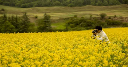 image for article 10 Wisata Qinghai, Provinsi Elok Di Barat Laut China