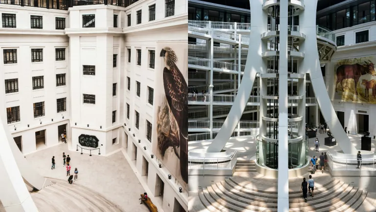 Wisata Gratis Manila Filipina - National Museum of Natural History